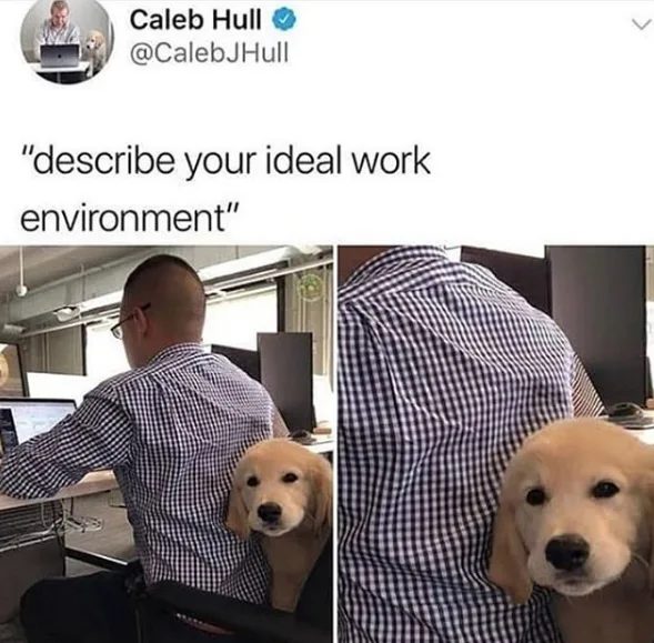 Image credit: Twitter