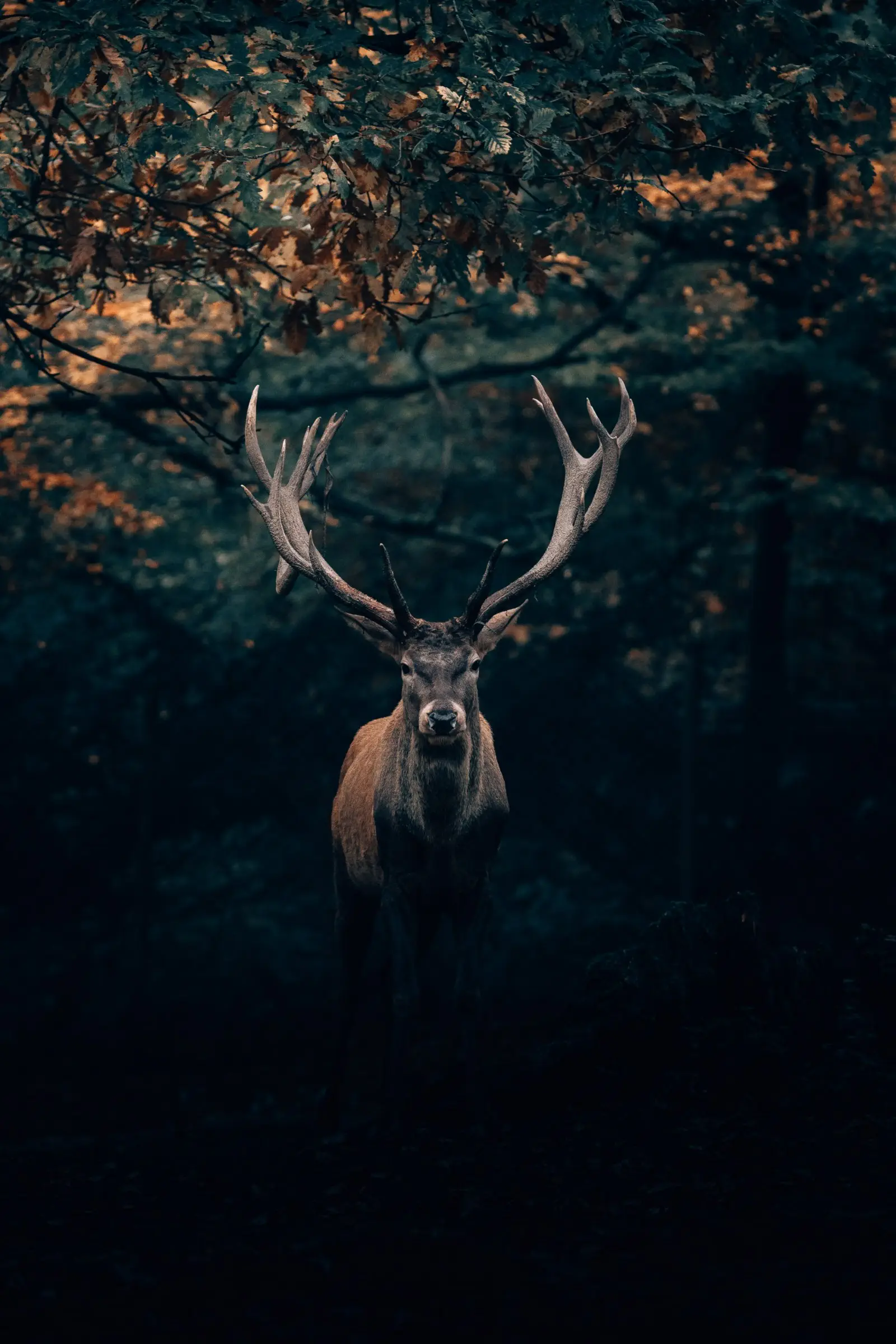Image credit: Unsplash | Philipp Pilz