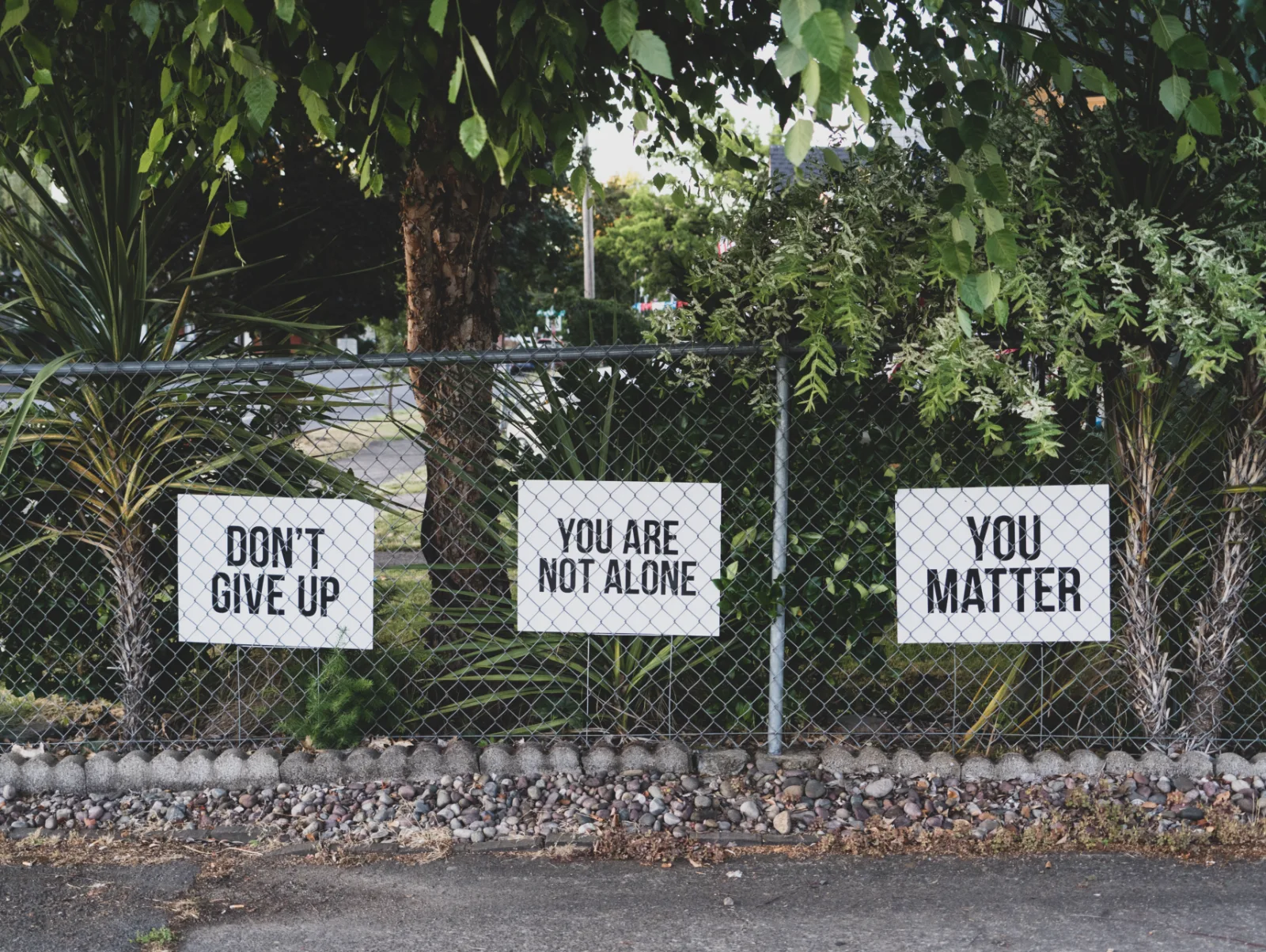 Image credit: Unsplash | Dan Meyers