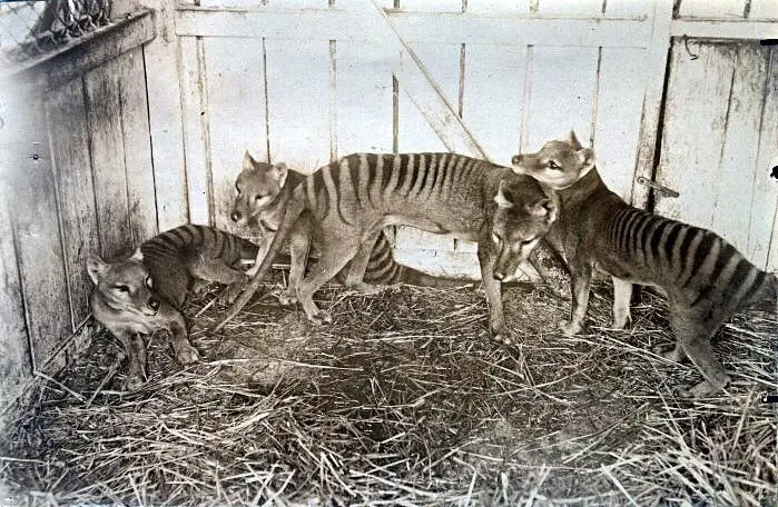Image credit: Instagram | @lostinhistorypics