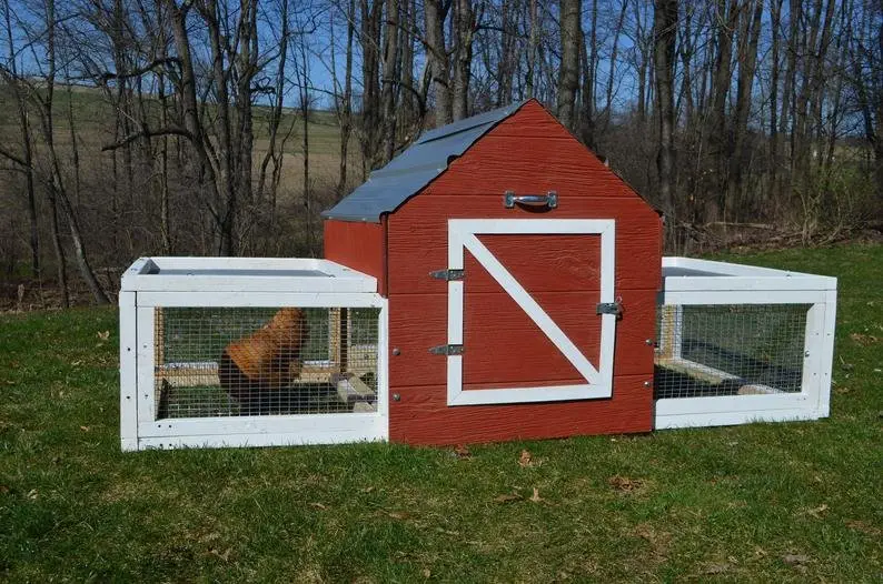 Image credit: Etsy | TheChickenNetwork