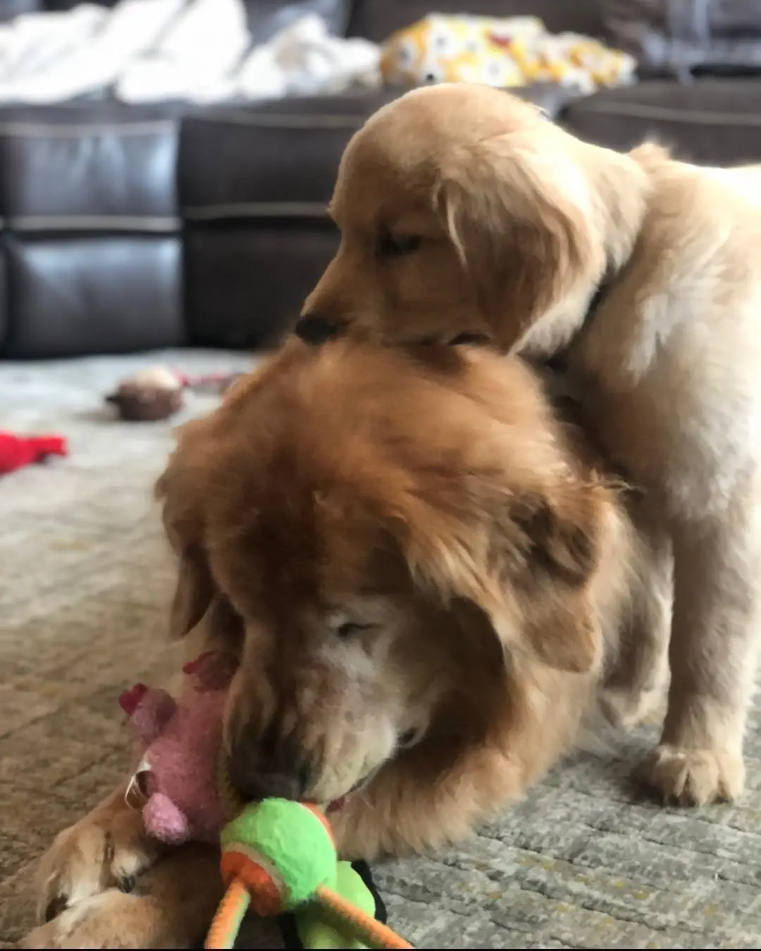 Image credit: Instagram | @charlieandmav