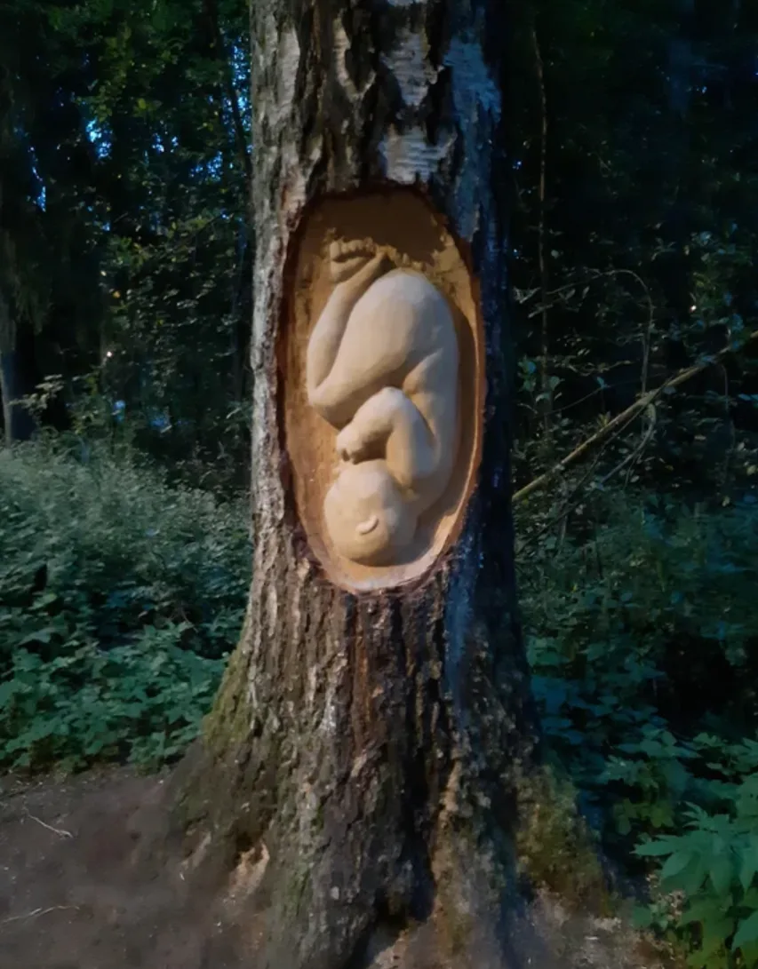Image credit: Reddit | mukavastinumb
