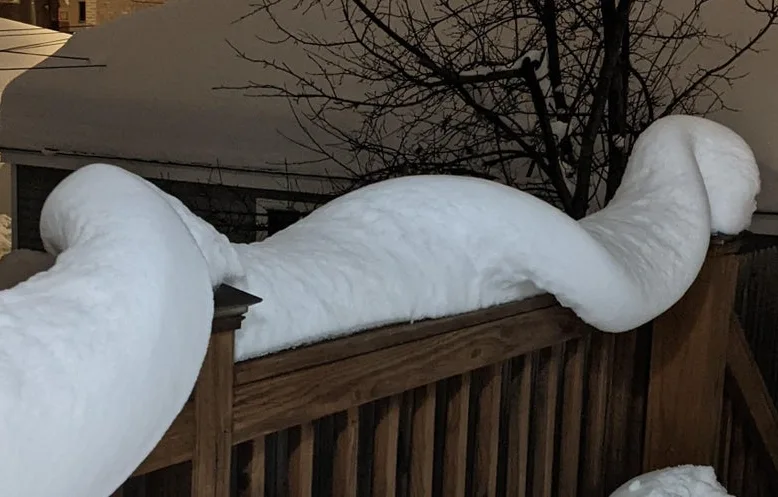 Image credit: Reddit | Alive-Jelly