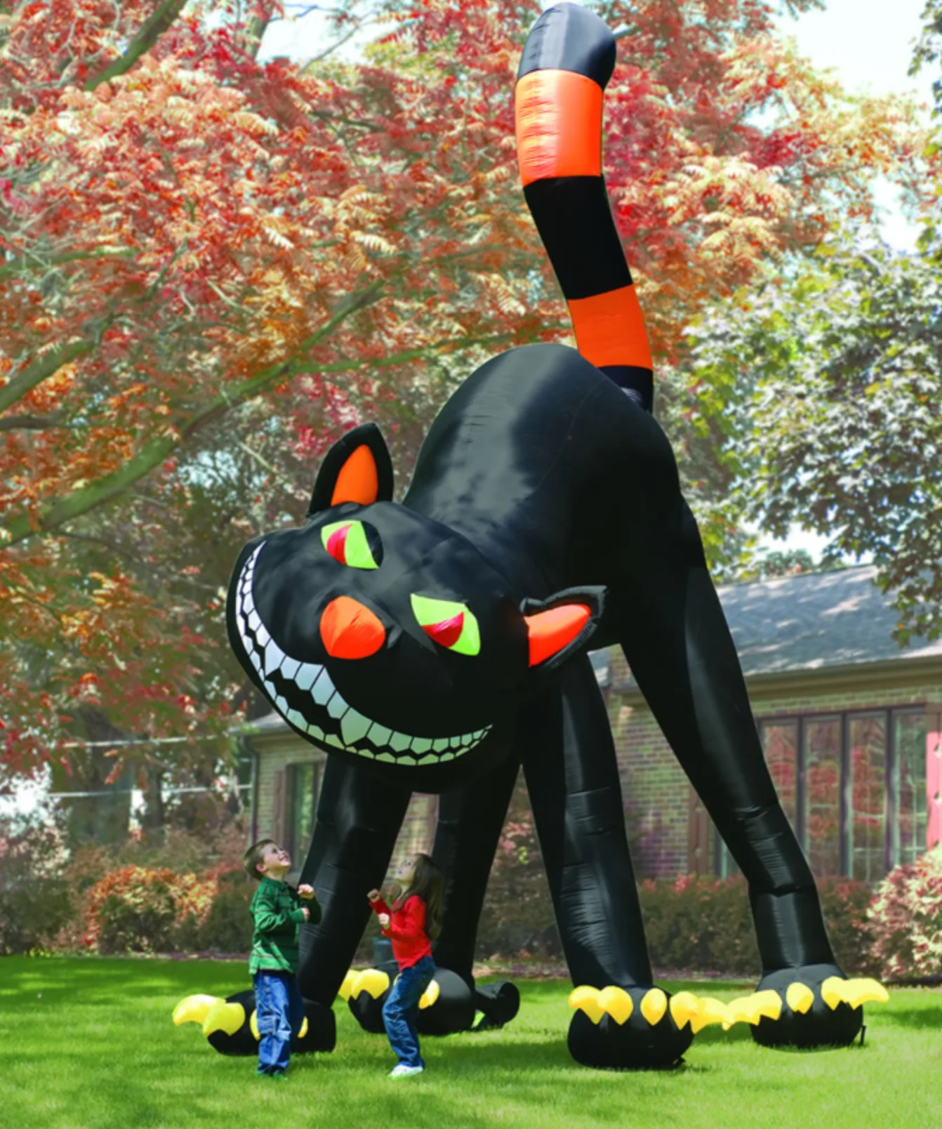 Image credit: Hammacher Schlemmer