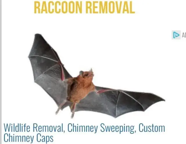 Image credit: Reddit | im-just-a-guy-ok