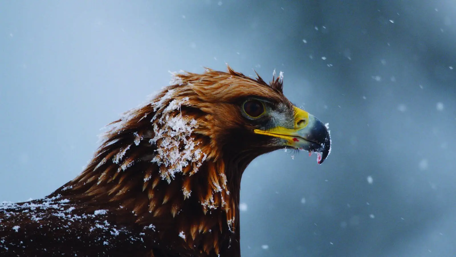 Image credit: Netflix
