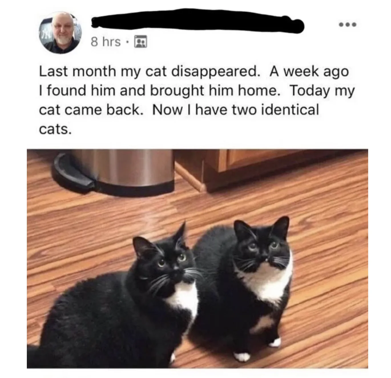 Image credit: Reddit | DingDongPuddlez
