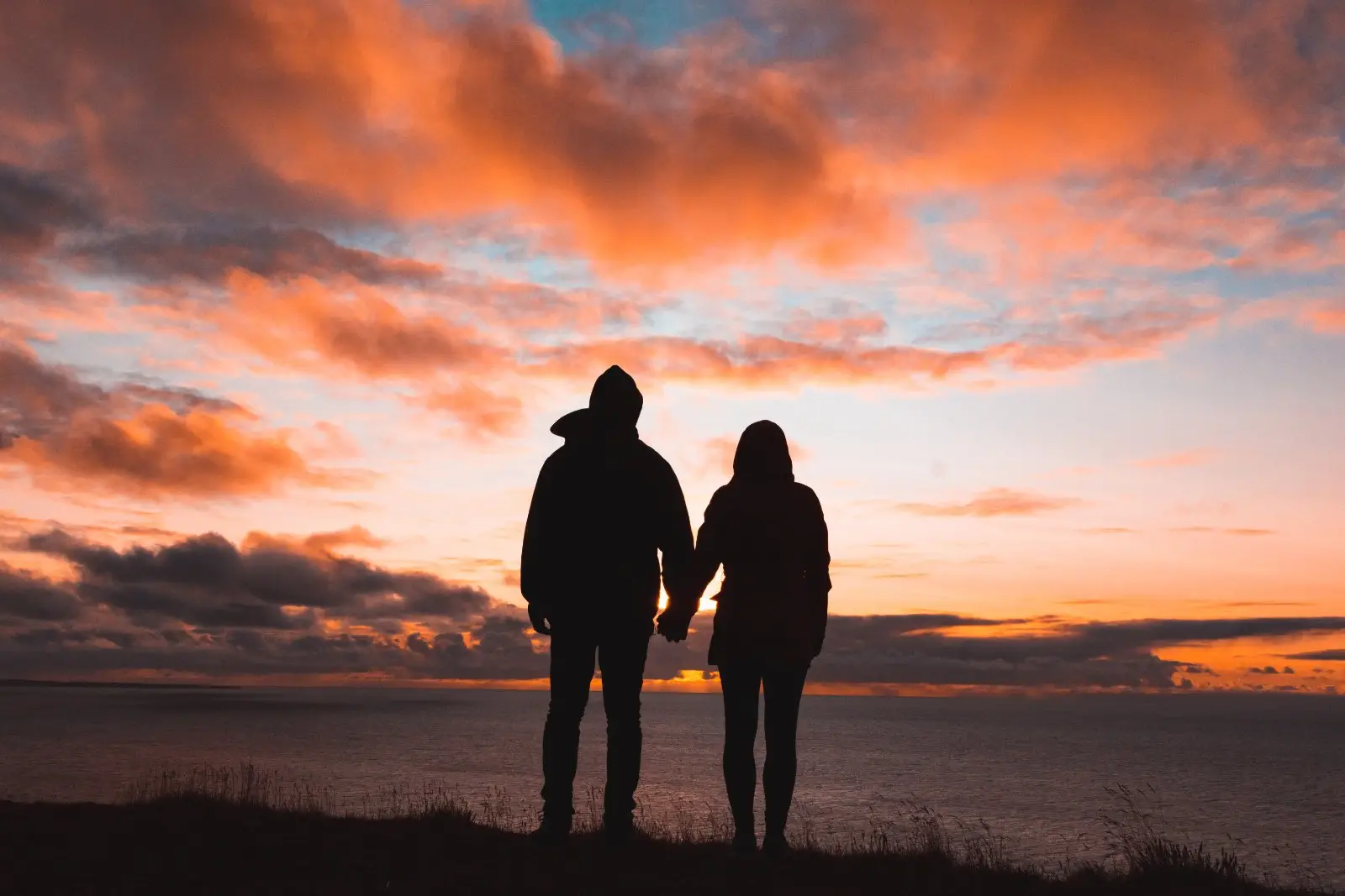 Image credit: Unsplash | Alex Iby