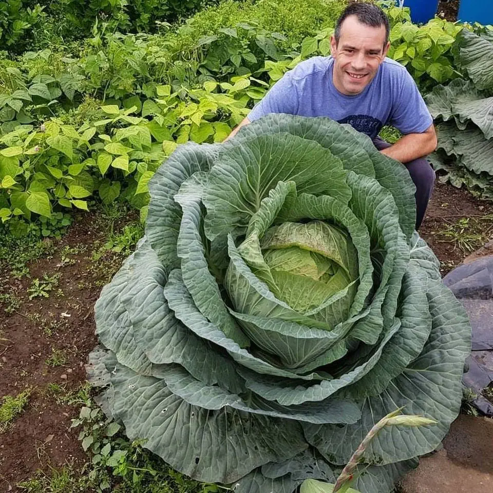 Image credit: Reddit | Ukherewegrow
