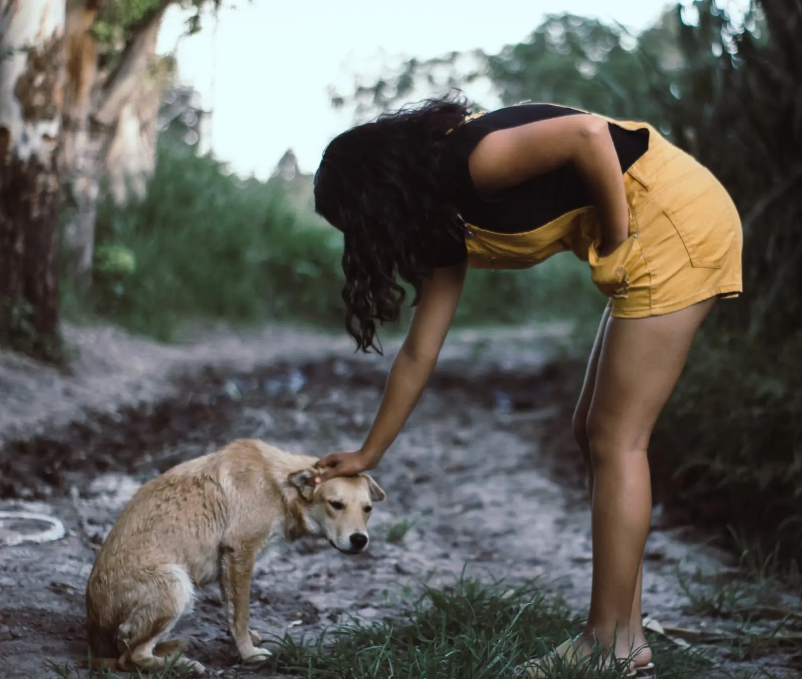 Image credit: Unsplash | Silvestre Leon