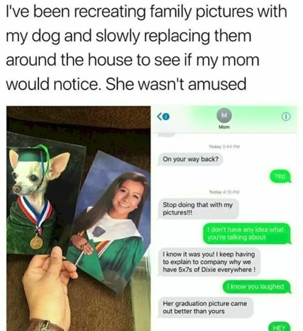 Image credit: Instagram | @funmemes100