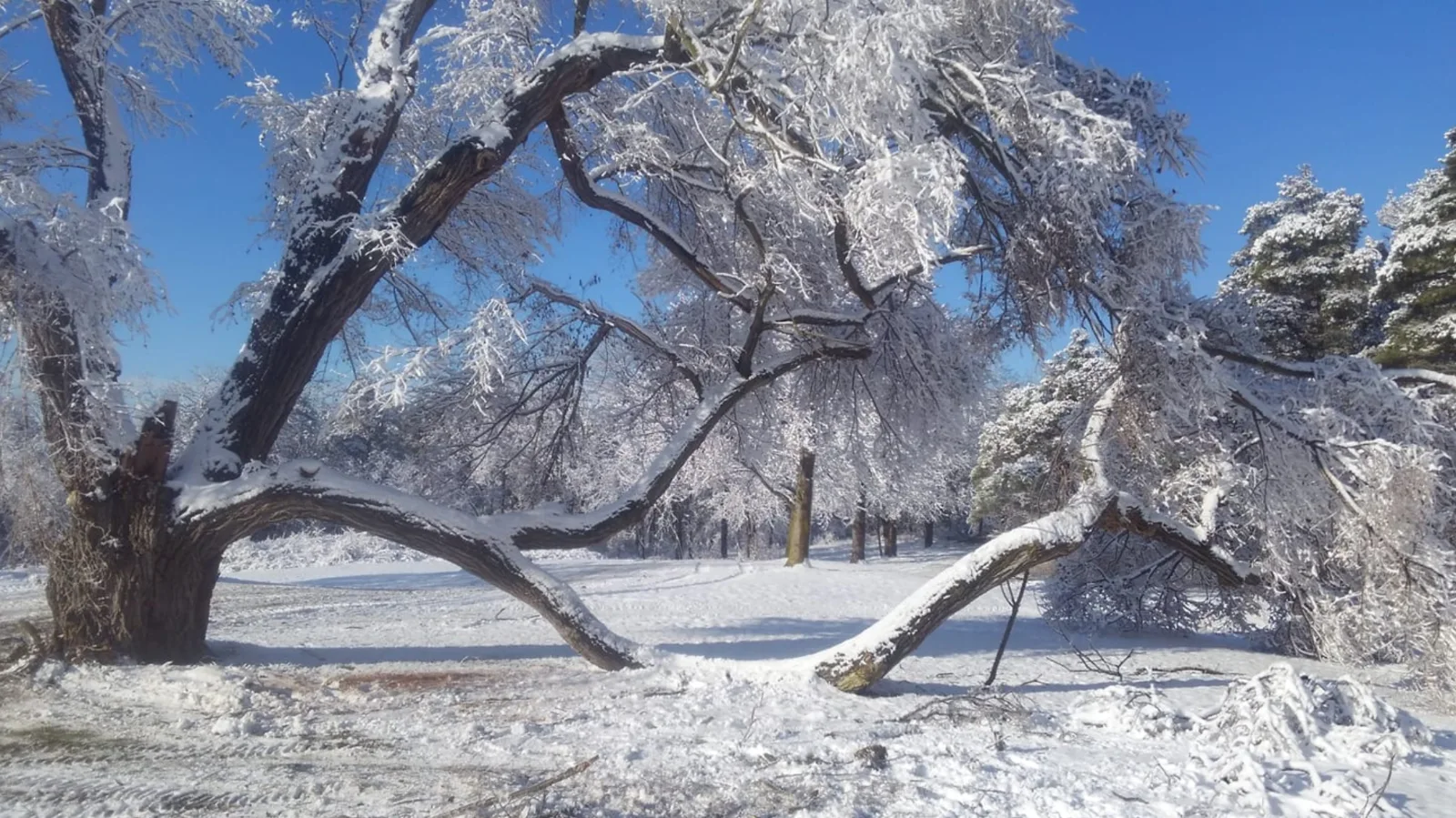 Image credit: Facebook | Niagara County Parks Department