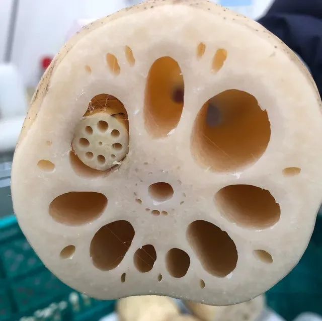 Image credit: Reddit | u/9999monkeys