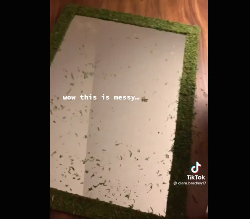Image credit: Reddit | u/danielsvdas