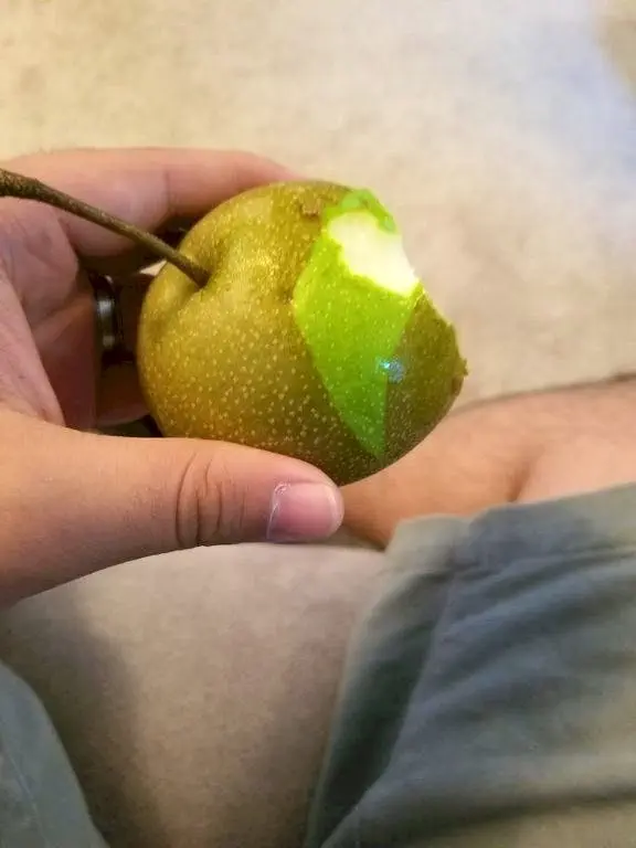 Image credit: Reddit | Thehappycachorro