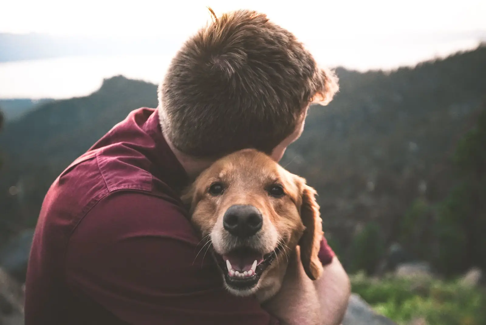 Image credit: Unsplash | Eric Ward