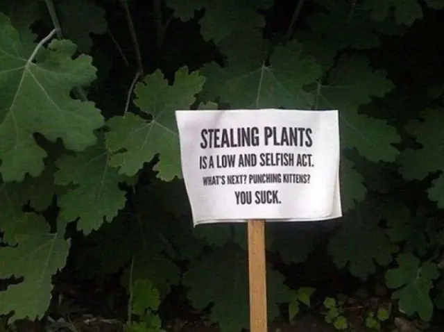Image credit: Reddit | wretlingrock392