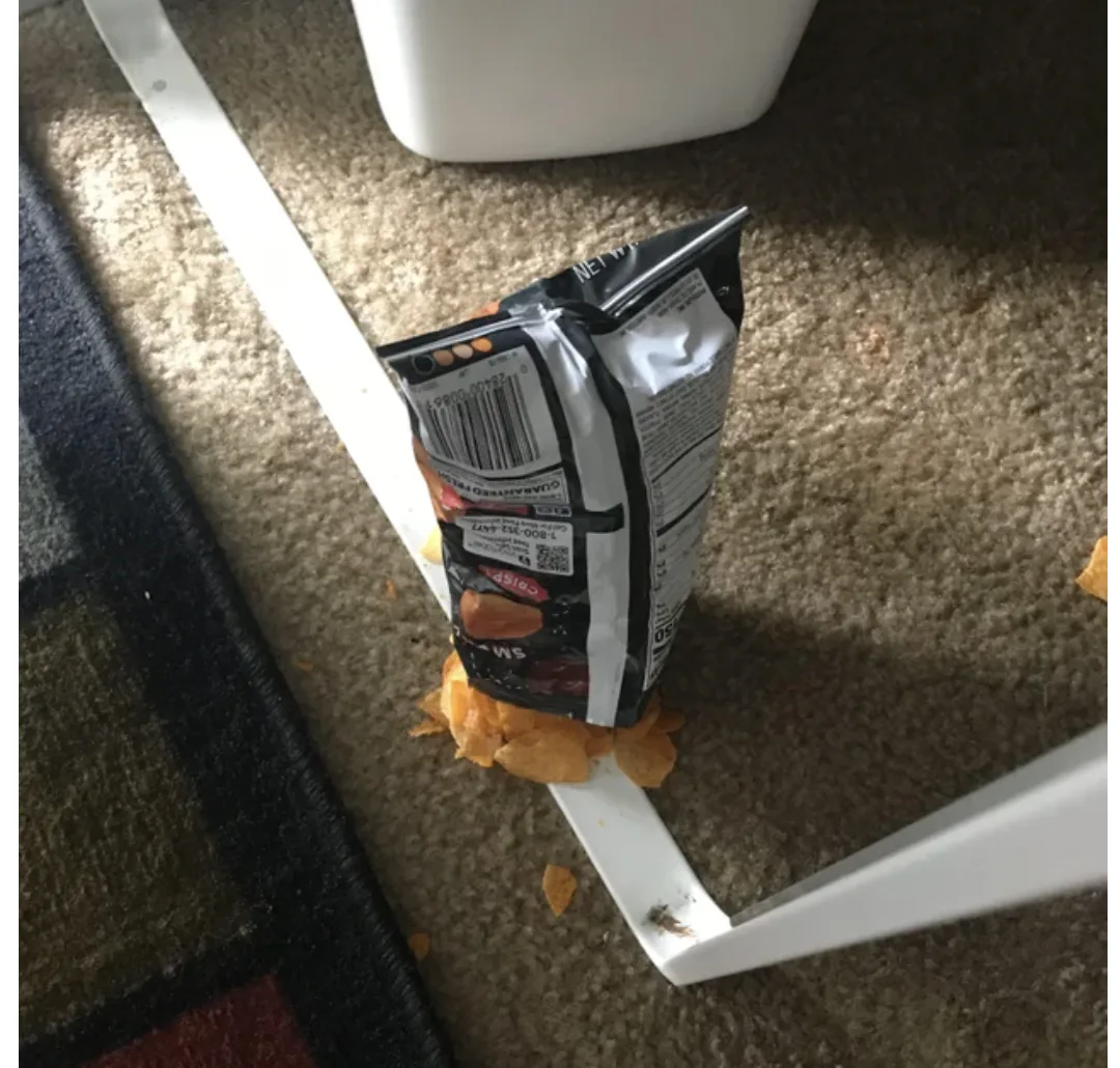 Image credit: Reddit | TotallyBlaze420