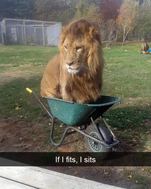 Image credit: Reddit | dirtydaversfg
