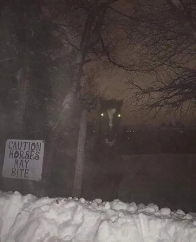 Image credit: Reddit | adamhasabeard