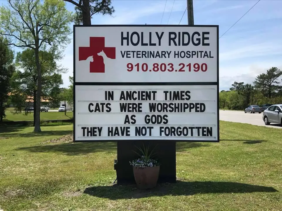 Image credit: Facebook | Holly Ridge Veterinary Hospital