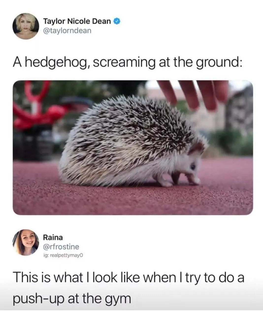 Image credit: Twitter | Taylor Nicole Dean