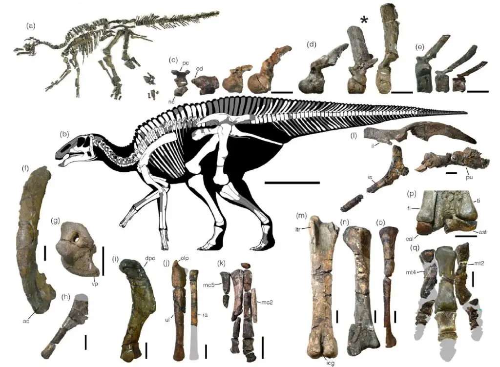 Image credit: Scientific Reports | Kobayashi Y., et al