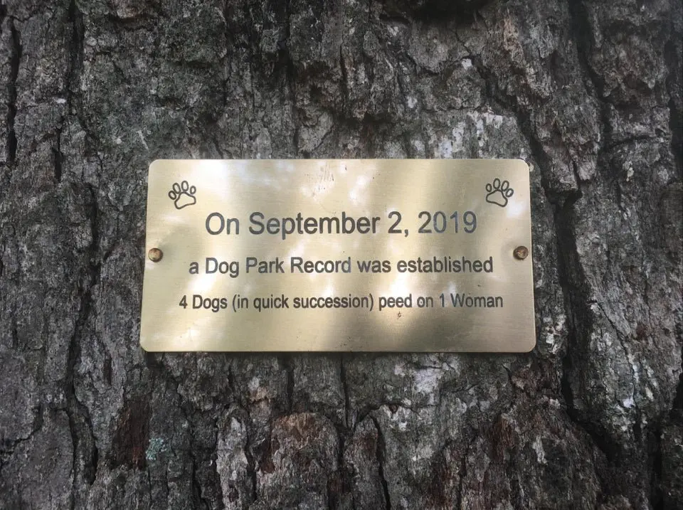 Image credit: Reddit | CHADLOVESHAM