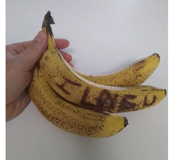 Image credit: Reddit | chadork