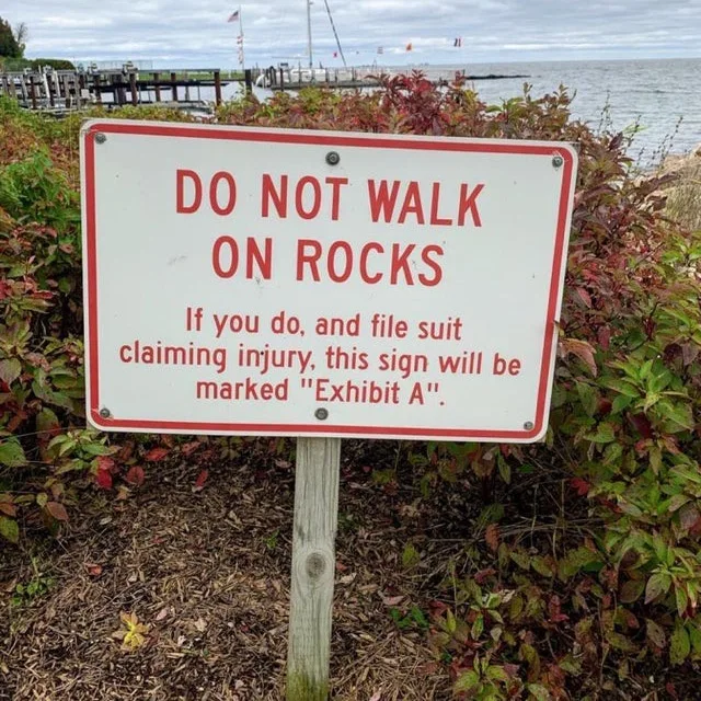 Image credit: Reddit | YouRebelScumGuy