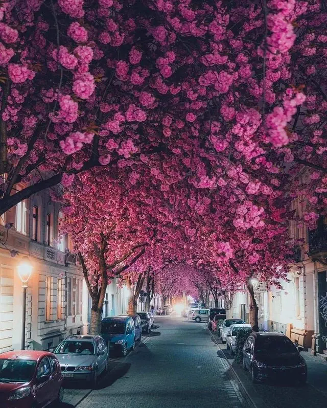 Image credit: Reddit | Sapulinjing