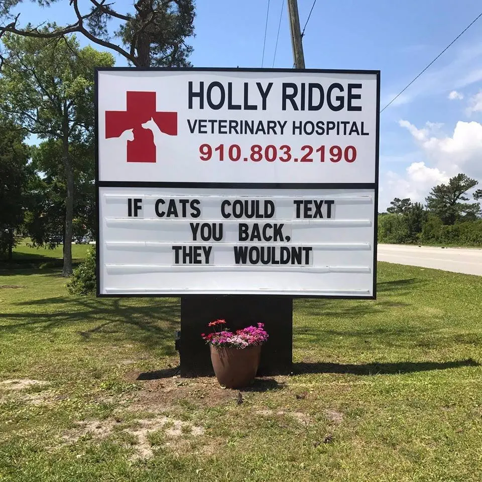 Image credit: Facebook | Holly Ridge Veterinary Hospital