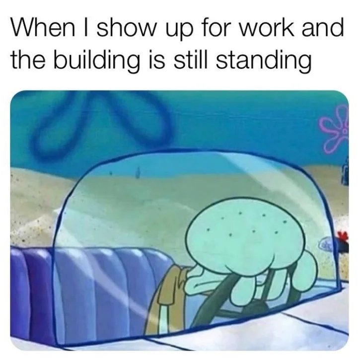 Image credit: Instagram | @memes