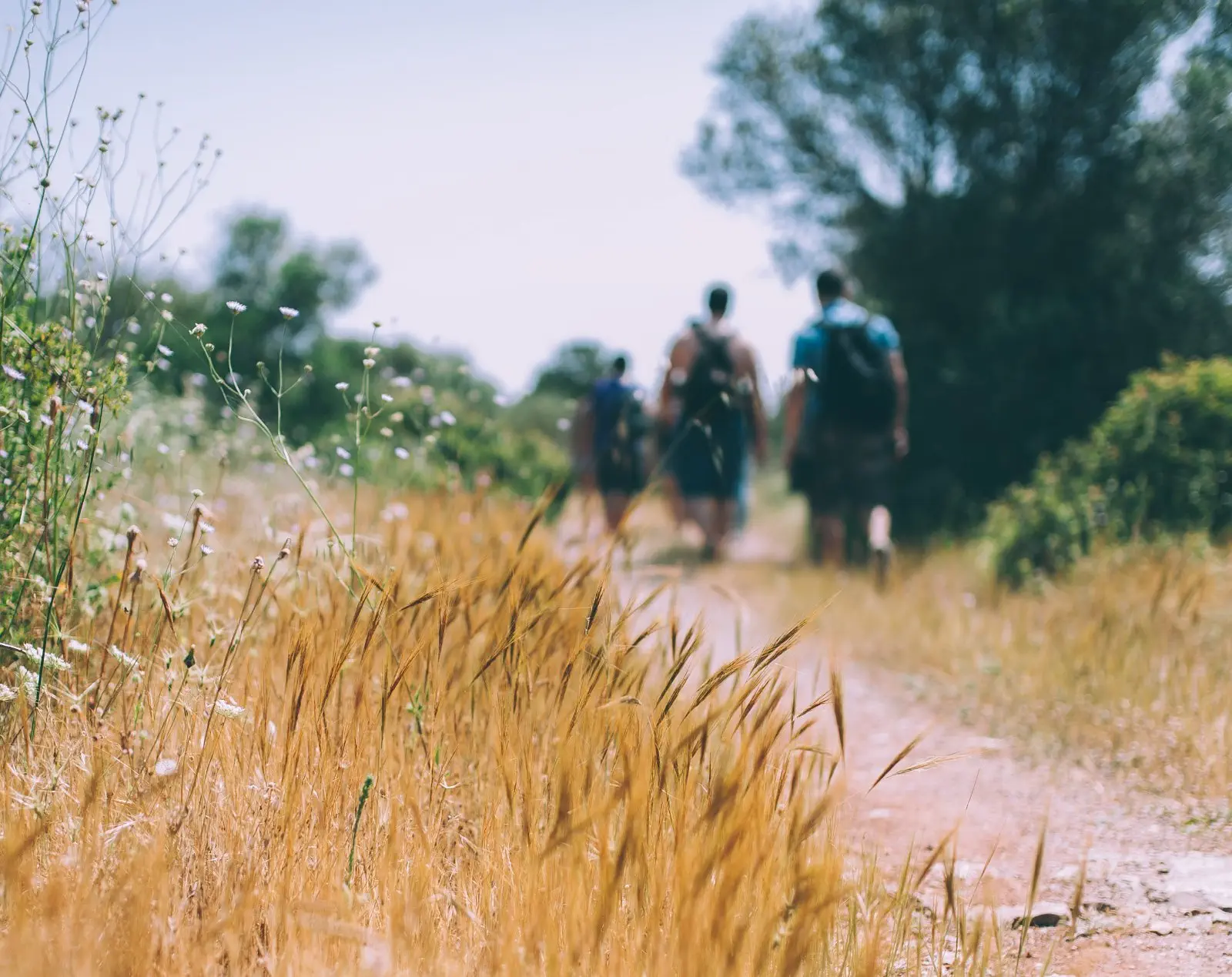 Image credit: Unsplash | Angelo Pantazis