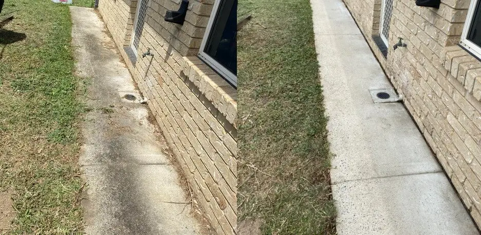 Image credit: Reddit | u/This_Chaotic_Life