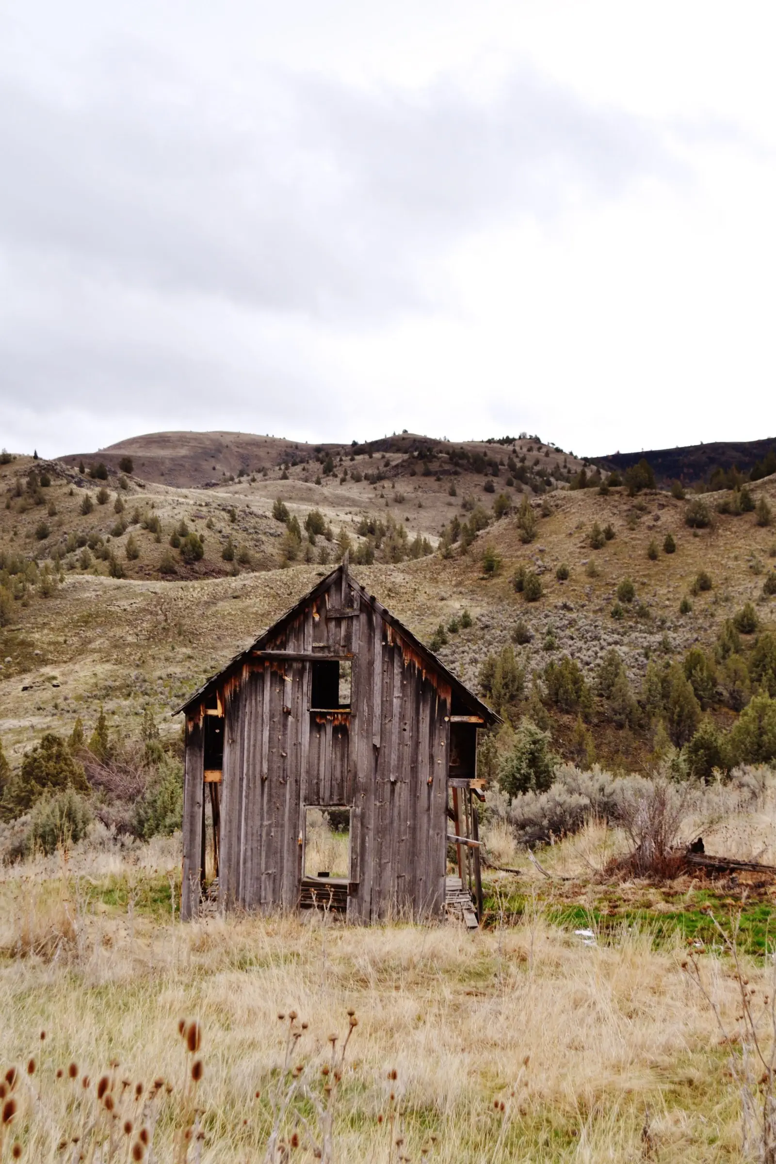 Image credit: Unsplash | Marten Newhall