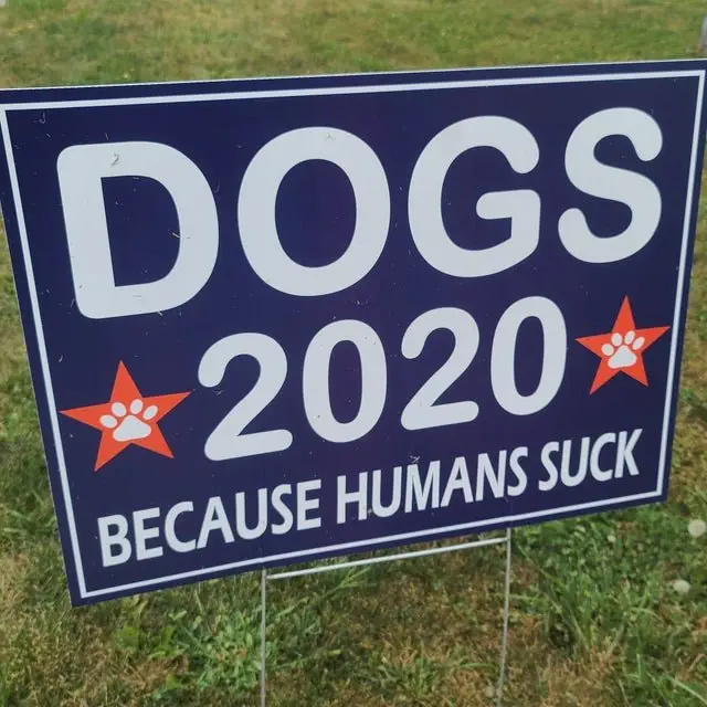 Image credit: Reddit | kdub425