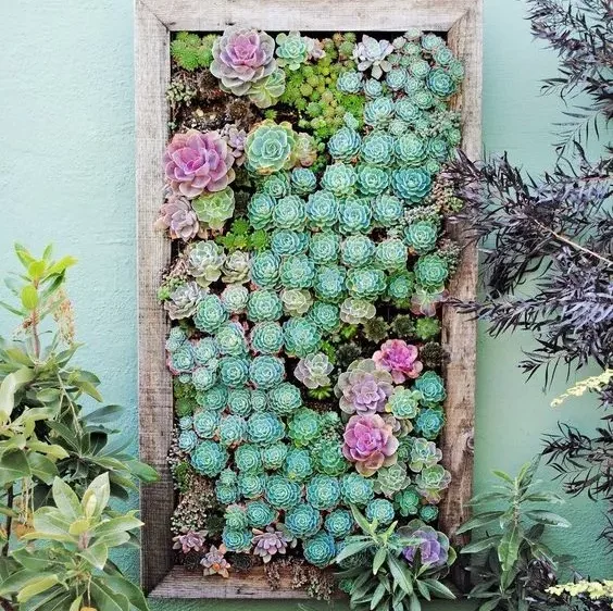 Image credit: Pinterest