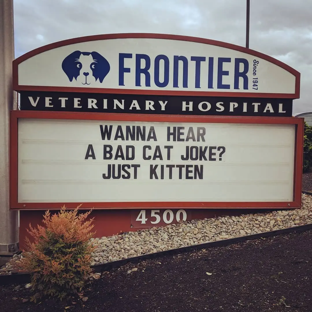 Image credit: Reddit | @frontiervet