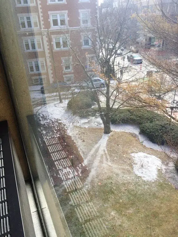 Image credit: Reddit | Literalex