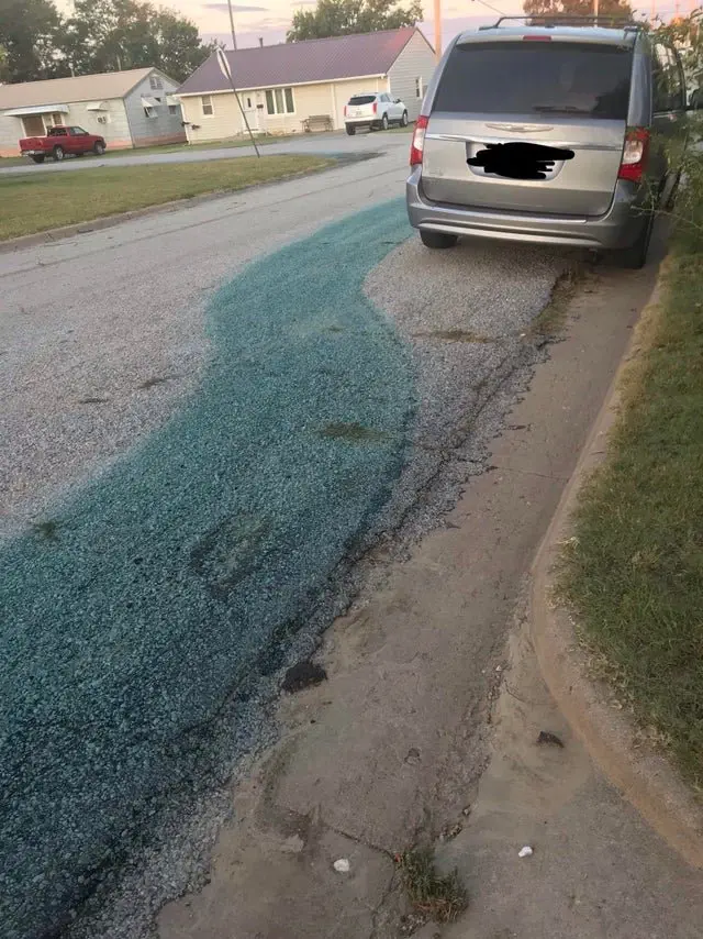 Image credit: Reddit | danielle-shmanielle
