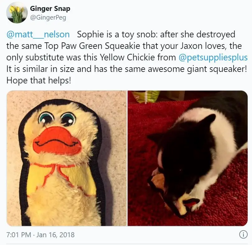 Image credit: Twitter | @GingerPeg