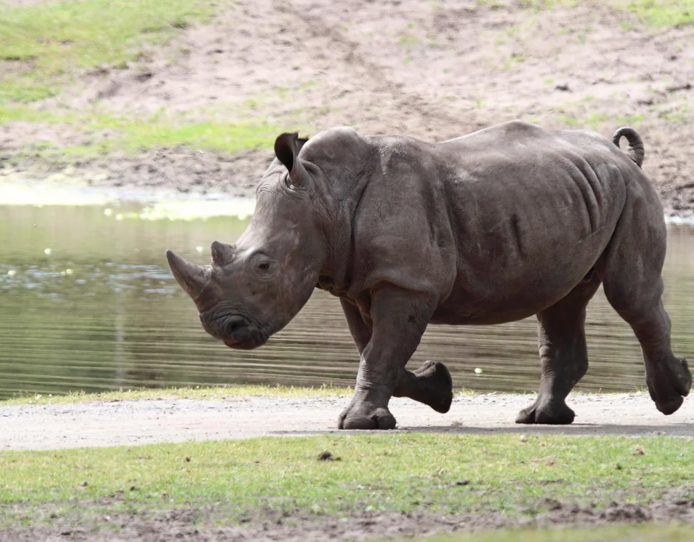 Image credit: Facebook | Serengeti Park