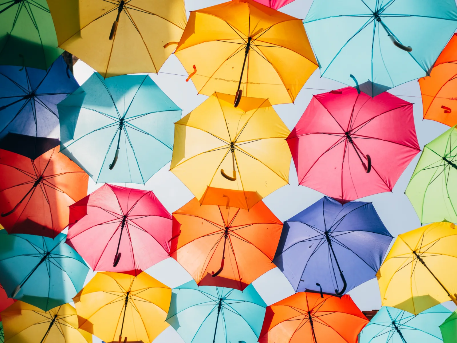 Image credit: Unsplash | Ricardo Resende