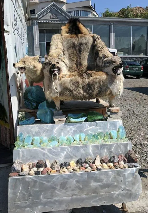 Image credit: Reddit | mahlerific