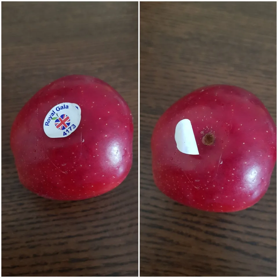 Image credit: Reddit | NeedsMoreWiFi