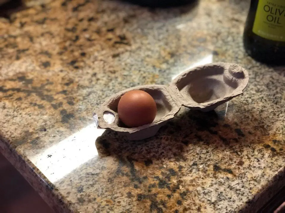 Image credit: Reddit | WhoppingRook09