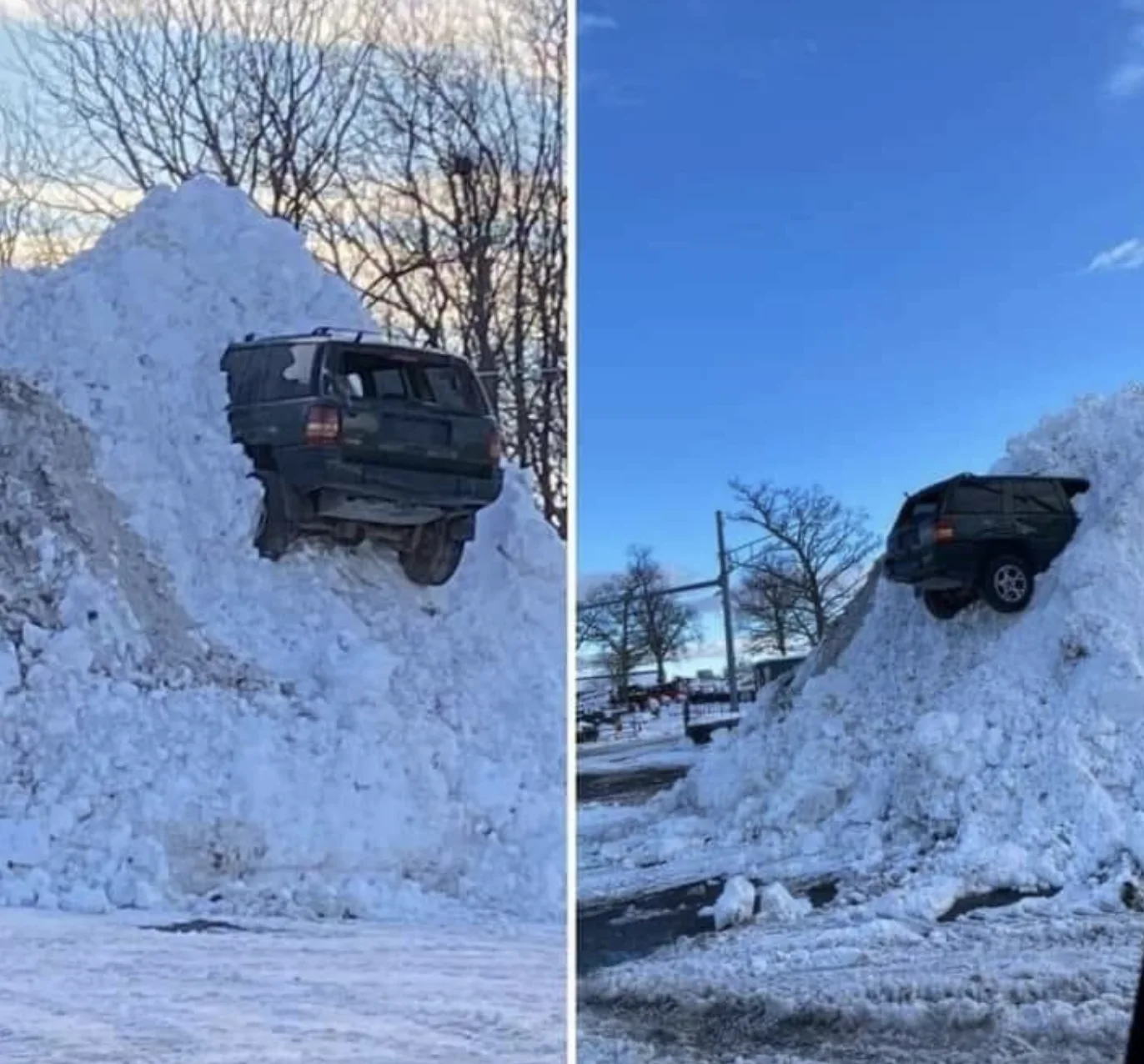 Image credit: Reddit | facinatingstranger