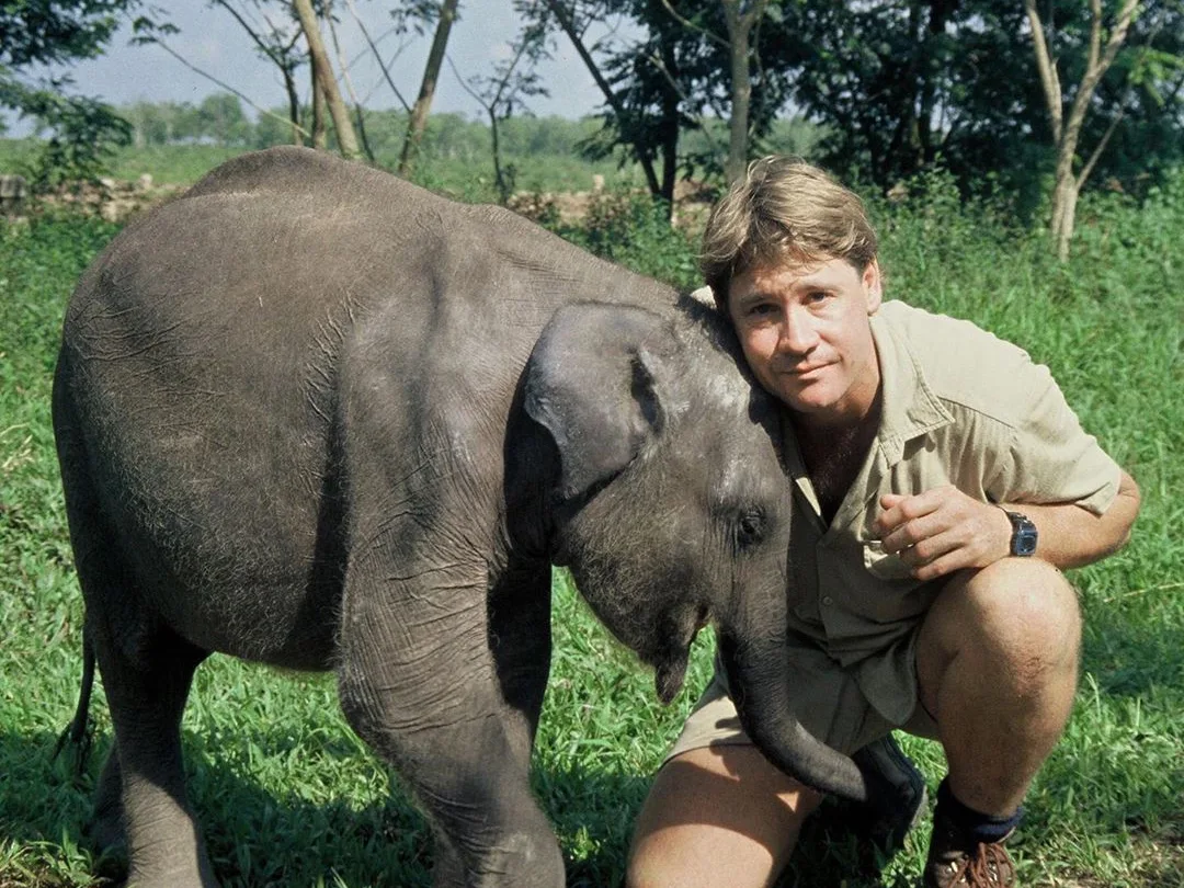 Image credit: Instagram | @wildlifewarriorsworldwide